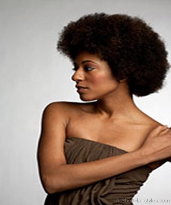  Black Stylish Afro Hairstyle