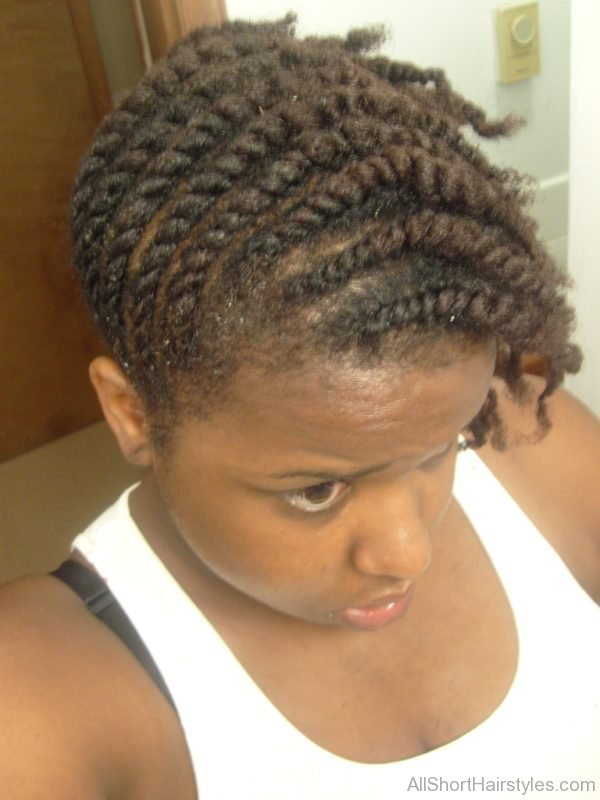 Afro Braids Hairstyle