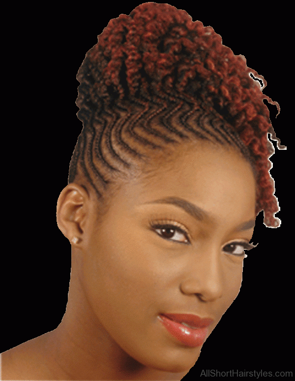 Afro braided Hairstyle