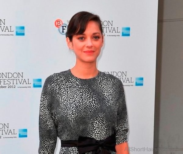 Marion Cotillard Updo Hairstyle 