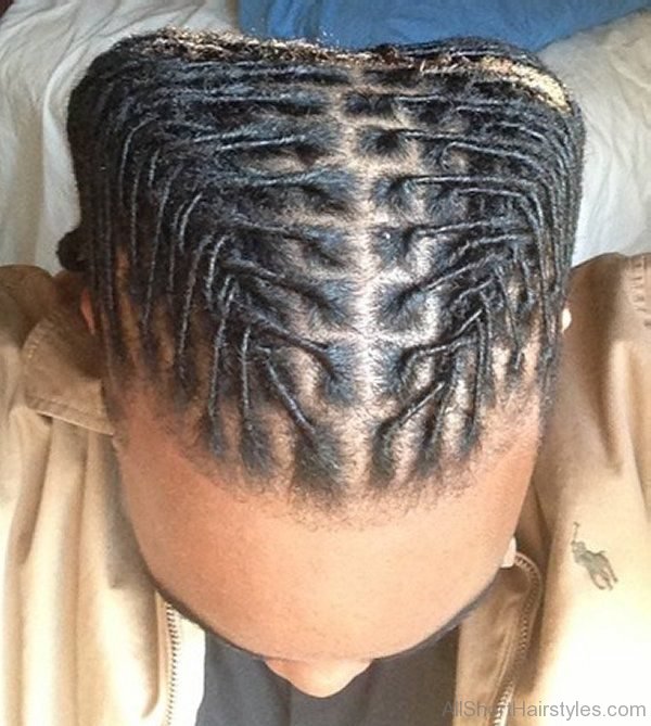 Micro Braids Hairstyle For Boys