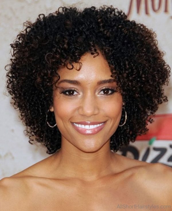Afro Curly Hairstyle