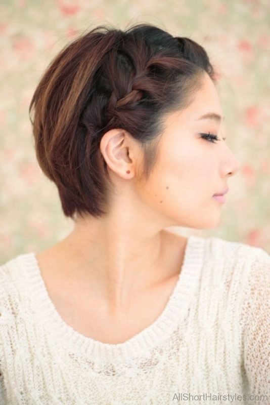 Beautiful Short Braided Hairstyle