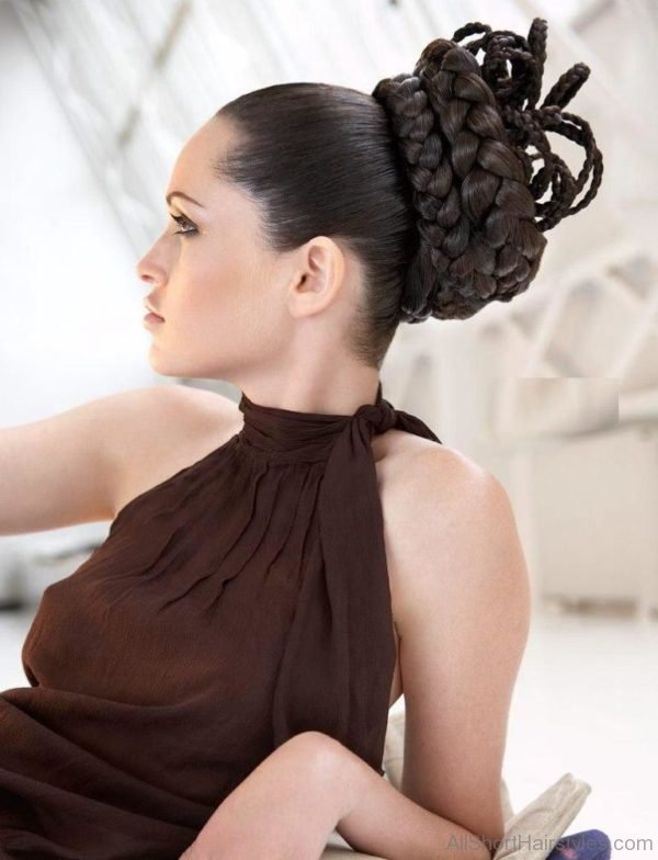 Braided Updo Hairstyle 