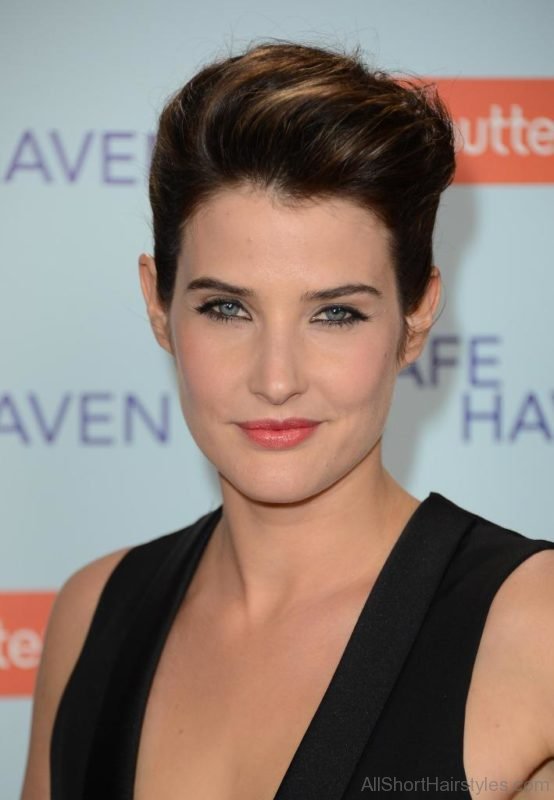 Cobie Beehive Hairstyle