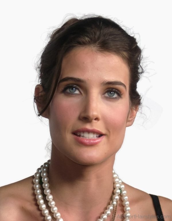 Cobie Smulders Bun Hairdo 