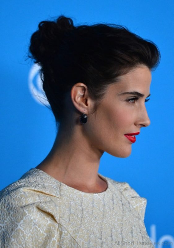 Cobie Smulders Classic Bun Hairstyle
