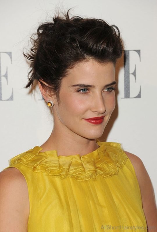 Cobie Smulders Puff Hairstyle