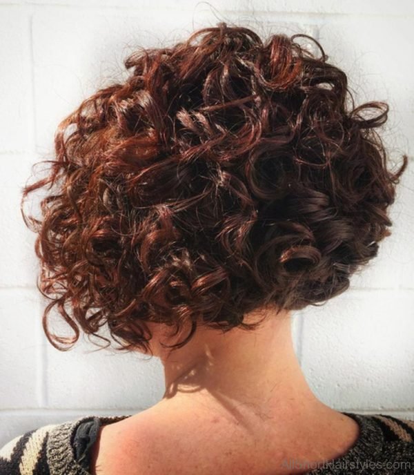 Cute Curly Bob Hairstyle