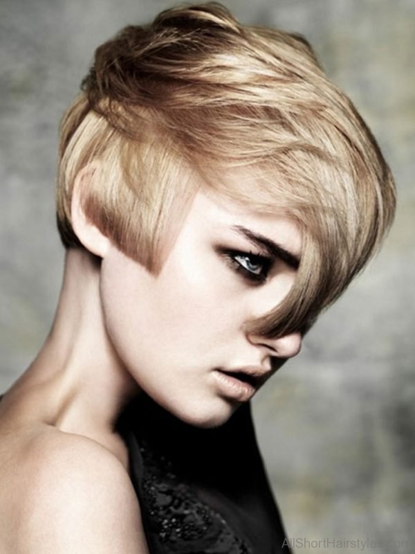 Elegant Short Hairstyle