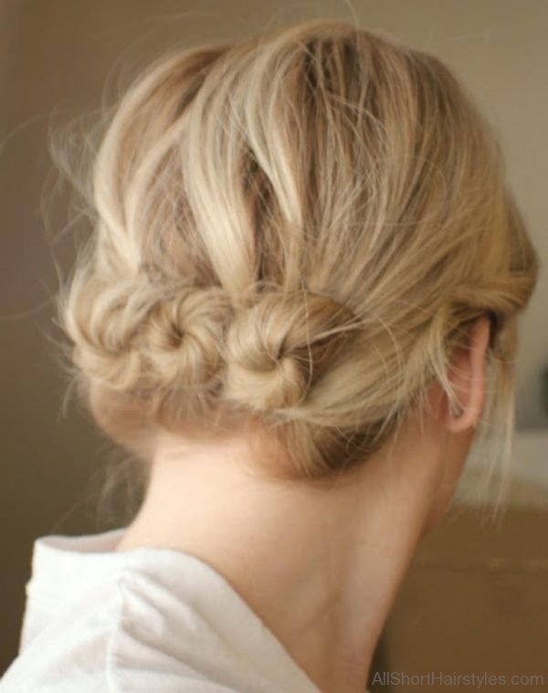 Twisted Buns Updo Hairstyle